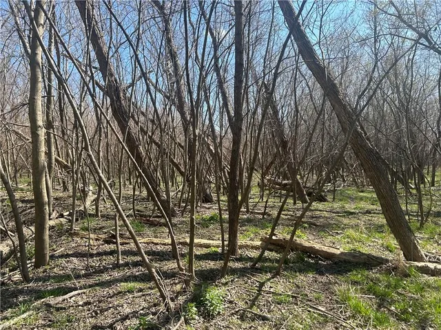 $393,450 | Gentryville Trail Trail, Albany, MO 64402