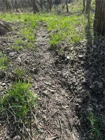 $393,450 | Gentryville Trail Trail, Albany, MO 64402