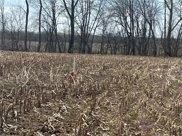 $393,450 | Gentryville Trail Trail, Albany, MO 64402