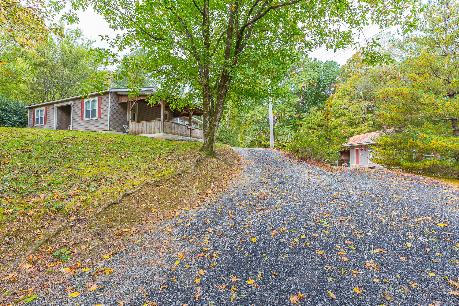 4811 Mitchell Bridge Road Northeast Dalton, GA 30721 - Photo 15 of 15 4811 Mitchell Bridge HD -1