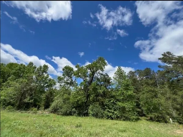 $75,000 | 59 North Moscow Tx 75960 North, Moscow, TX 75960