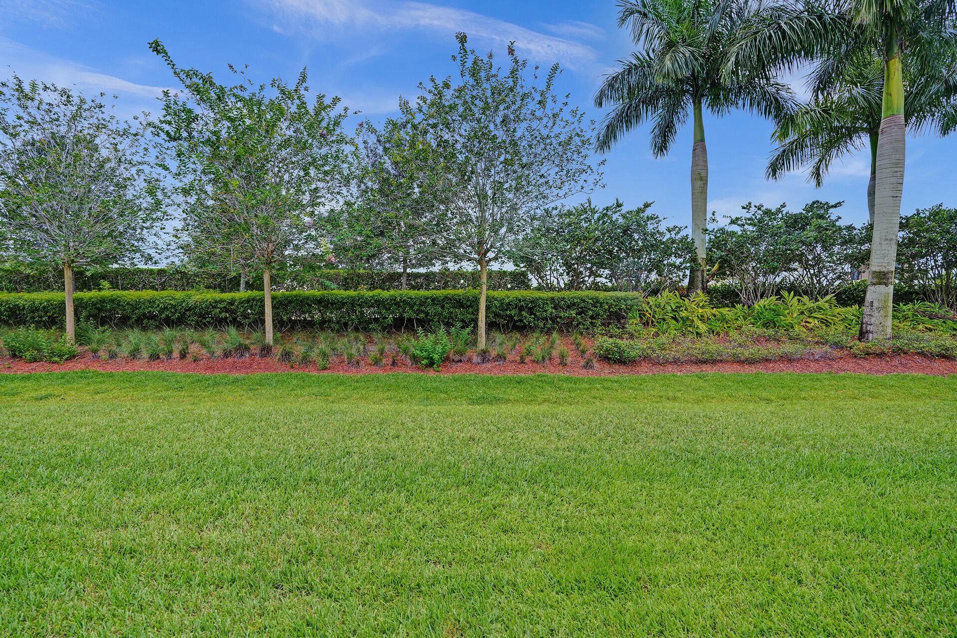 300 Racquet Club Road, Unit 103 Weston, FL 33326 - Photo 30 of 31 a view of a park with a tree