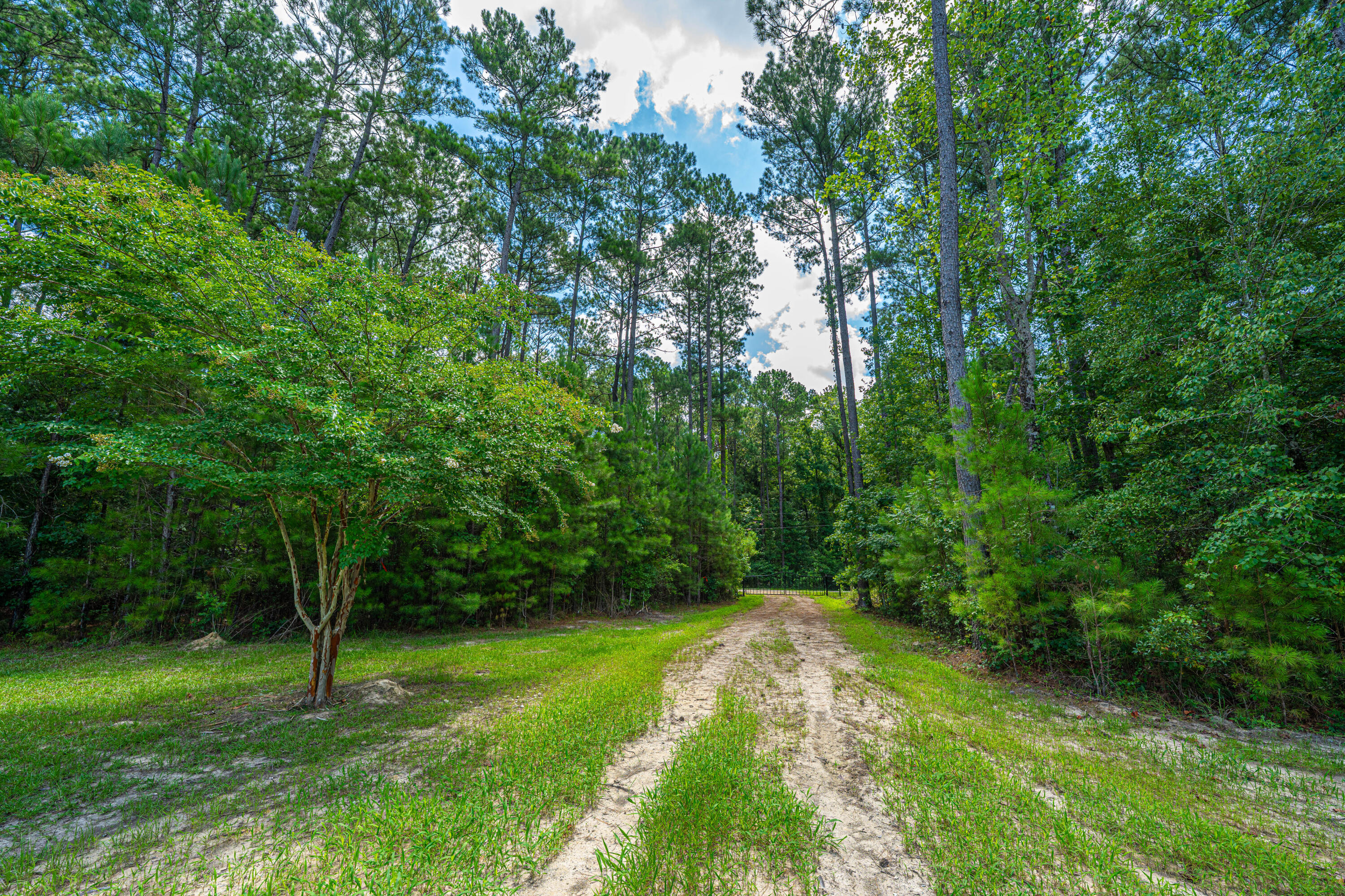 2 Southern Acres Lane Summerville, SC 29486 - Photo 13 of 39 SouthernAcresLaneLots029