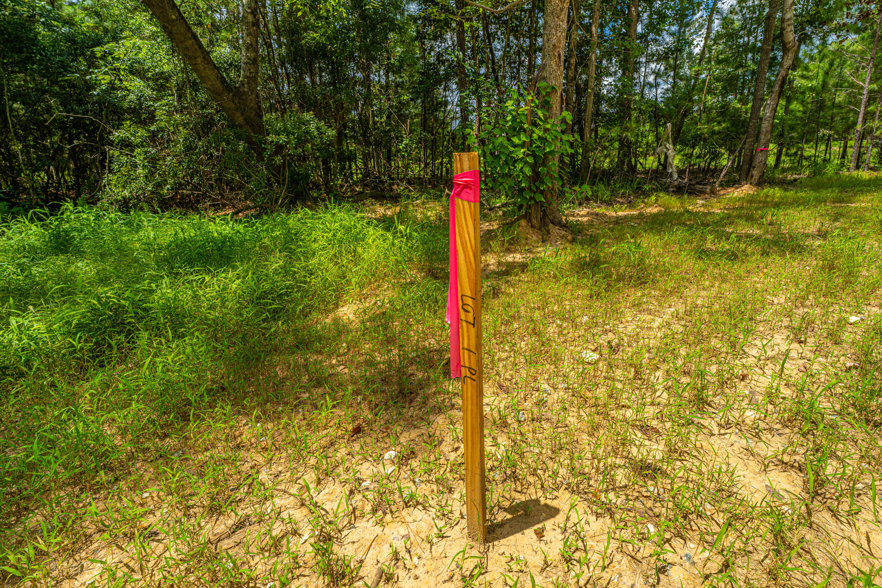 2 Southern Acres Lane Summerville, SC 29486 - Photo 15 of 39 SouthernAcresLaneLots026