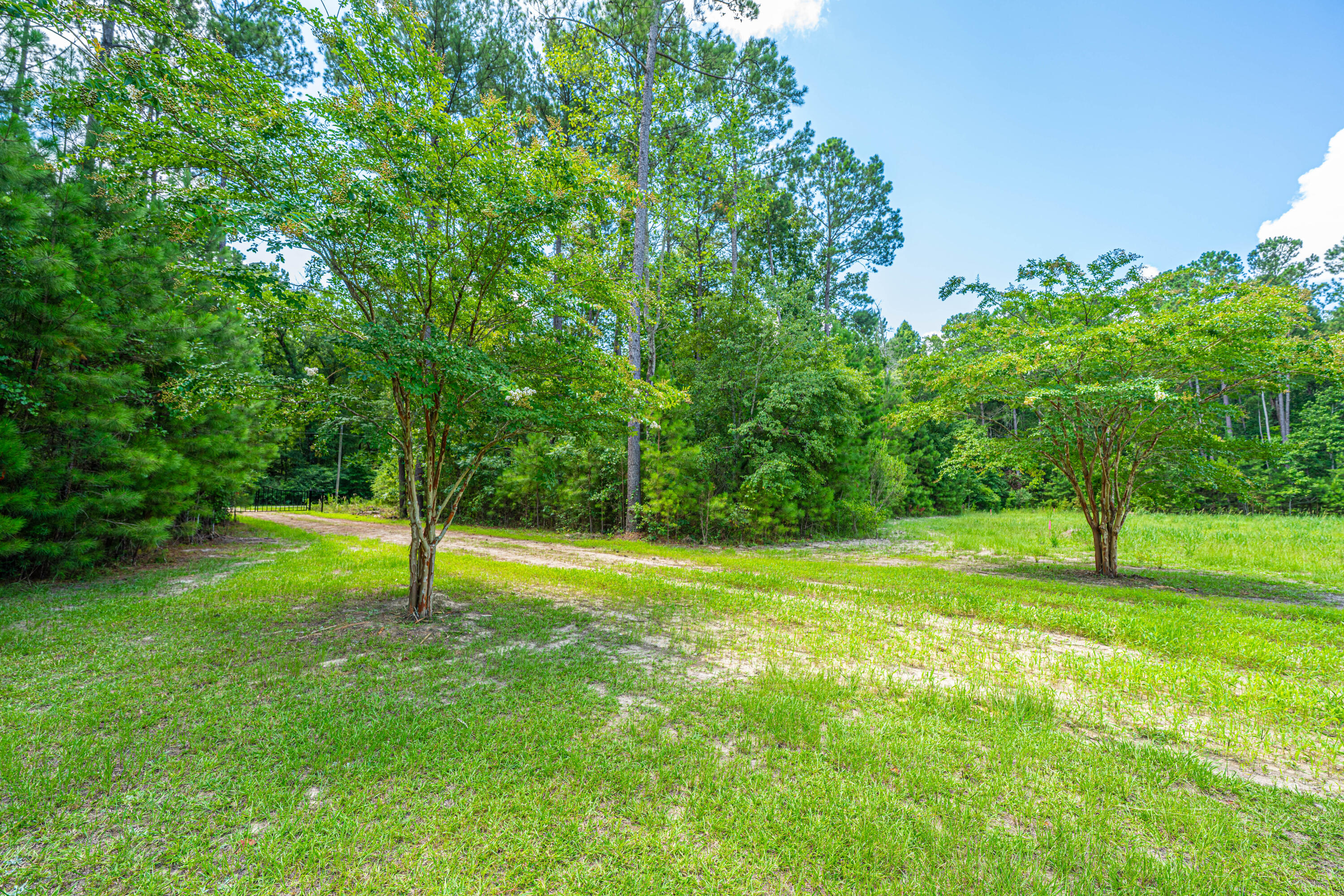 2 Southern Acres Lane Summerville, SC 29486 - Photo 16 of 39 SouthernAcresLaneLots031