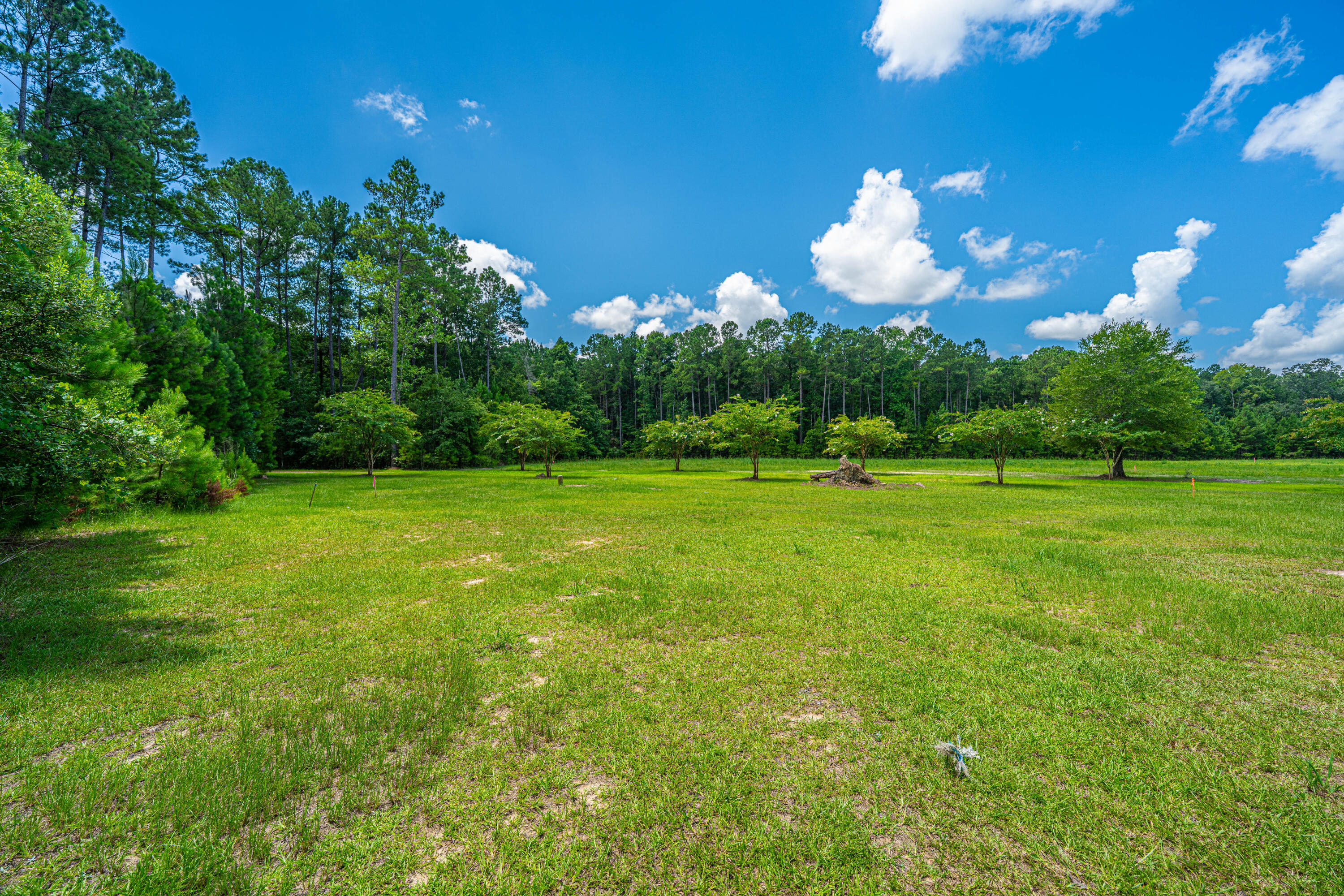 2 Southern Acres Lane Summerville, SC 29486 - Photo 18 of 39 SouthernAcresLaneLots034
