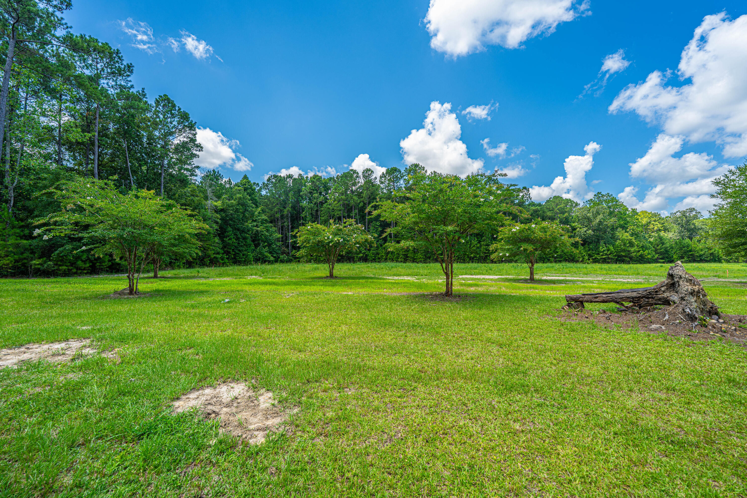 2 Southern Acres Lane Summerville, SC 29486 - Photo 19 of 39 SouthernAcresLaneLots035