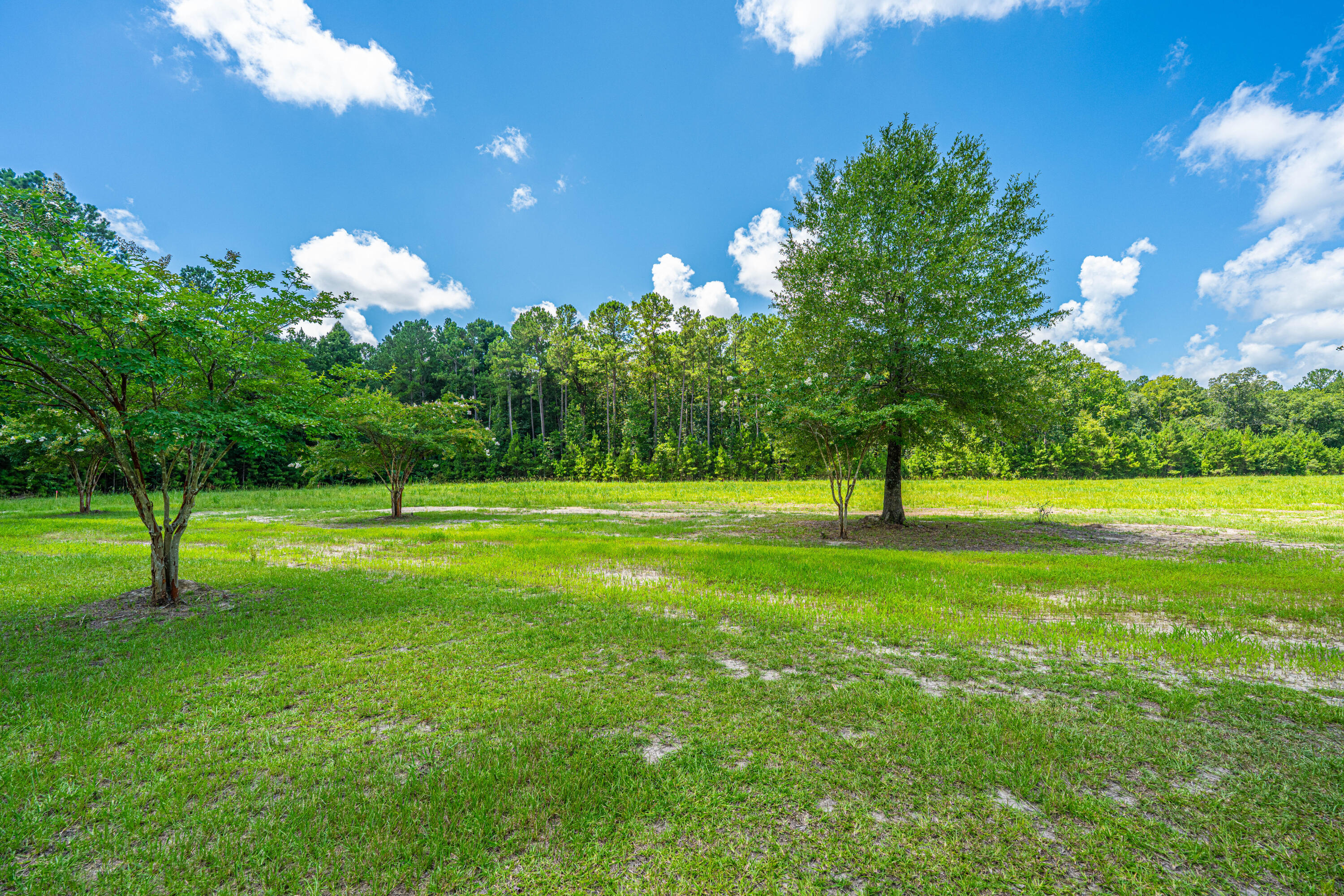 2 Southern Acres Lane Summerville, SC 29486 - Photo 20 of 39 SouthernAcresLaneLots039