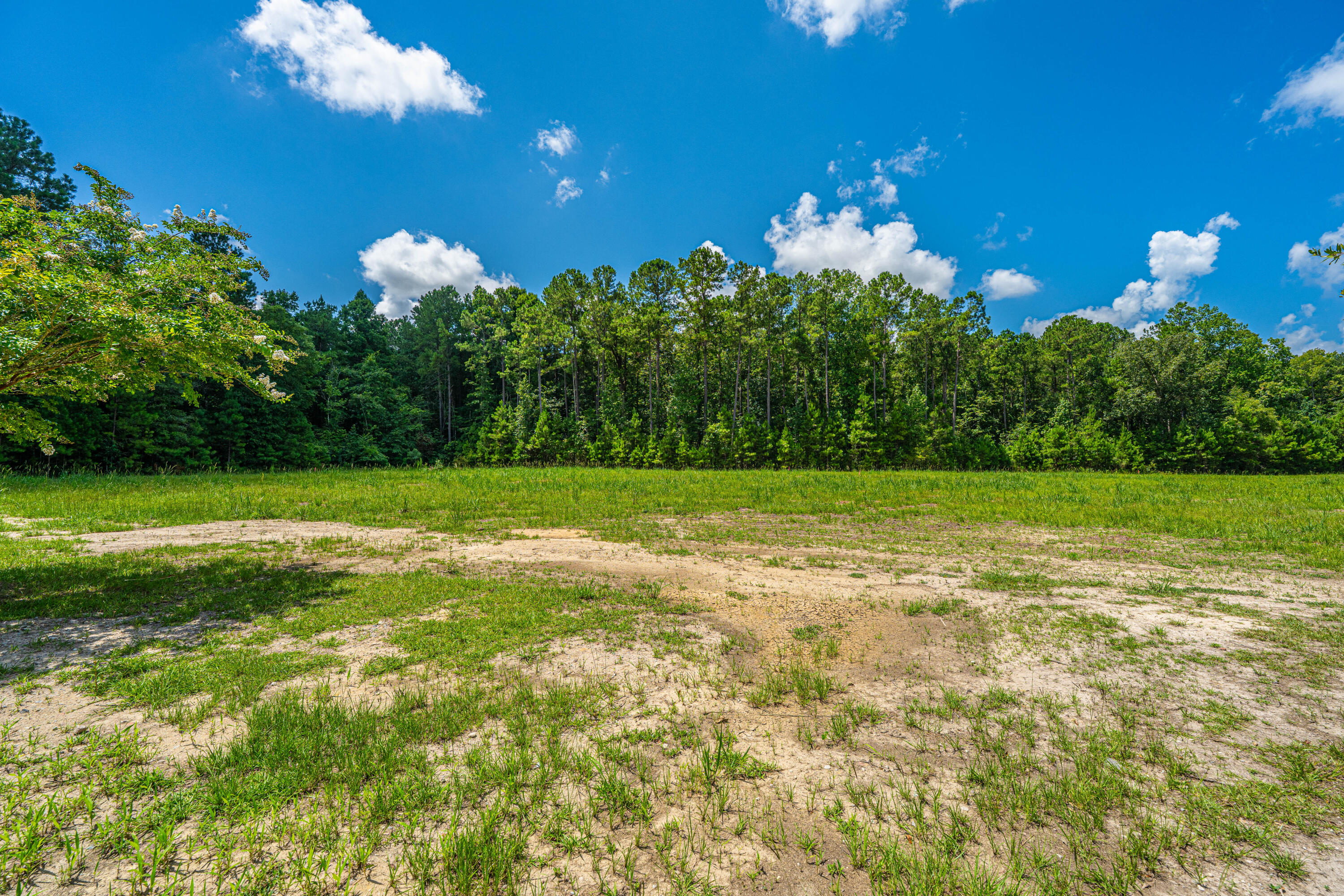 2 Southern Acres Lane Summerville, SC 29486 - Photo 21 of 39 SouthernAcresLaneLots040