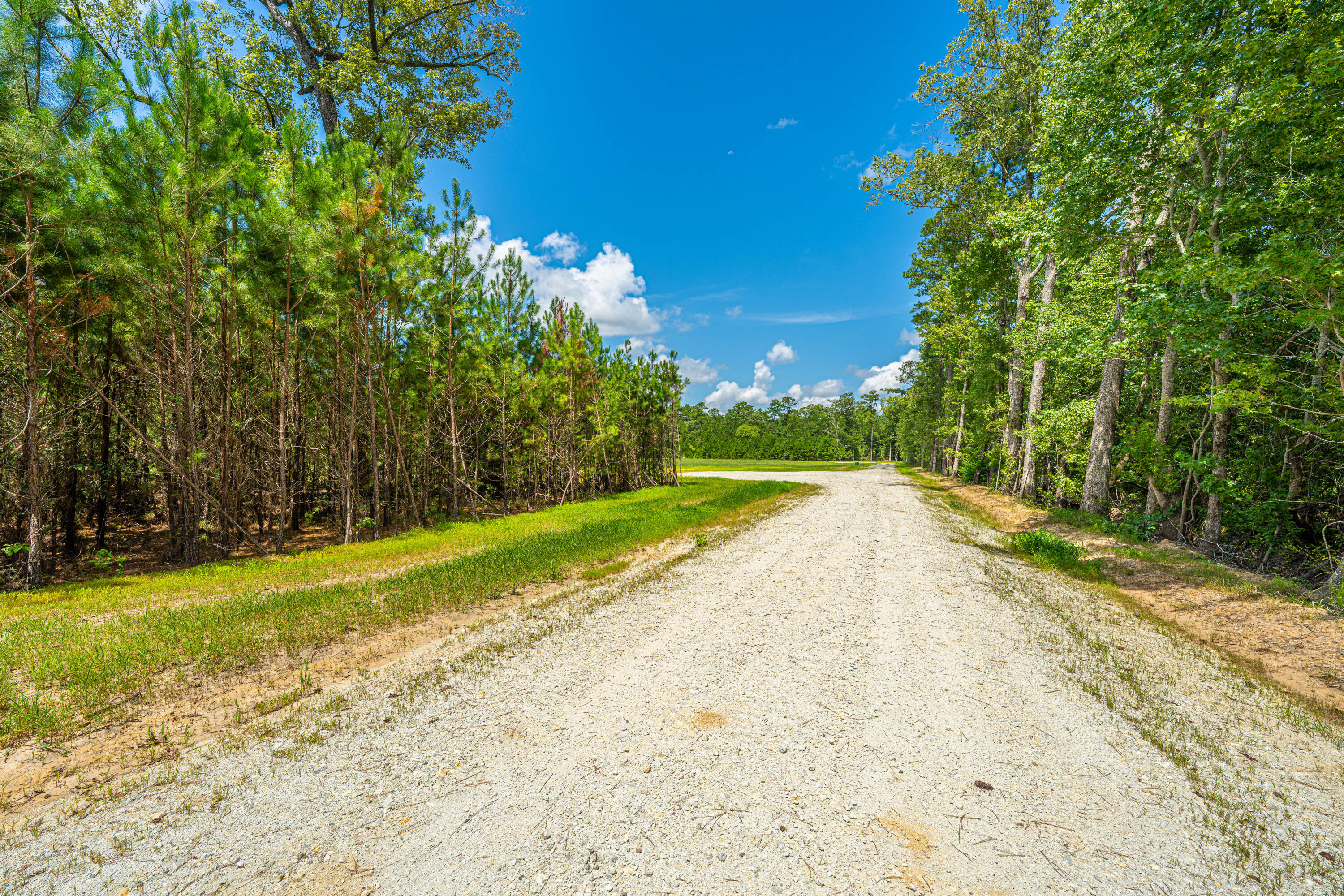 2 Southern Acres Lane Summerville, SC 29486 - Photo 7 of 39 SouthernAcresLaneLots020