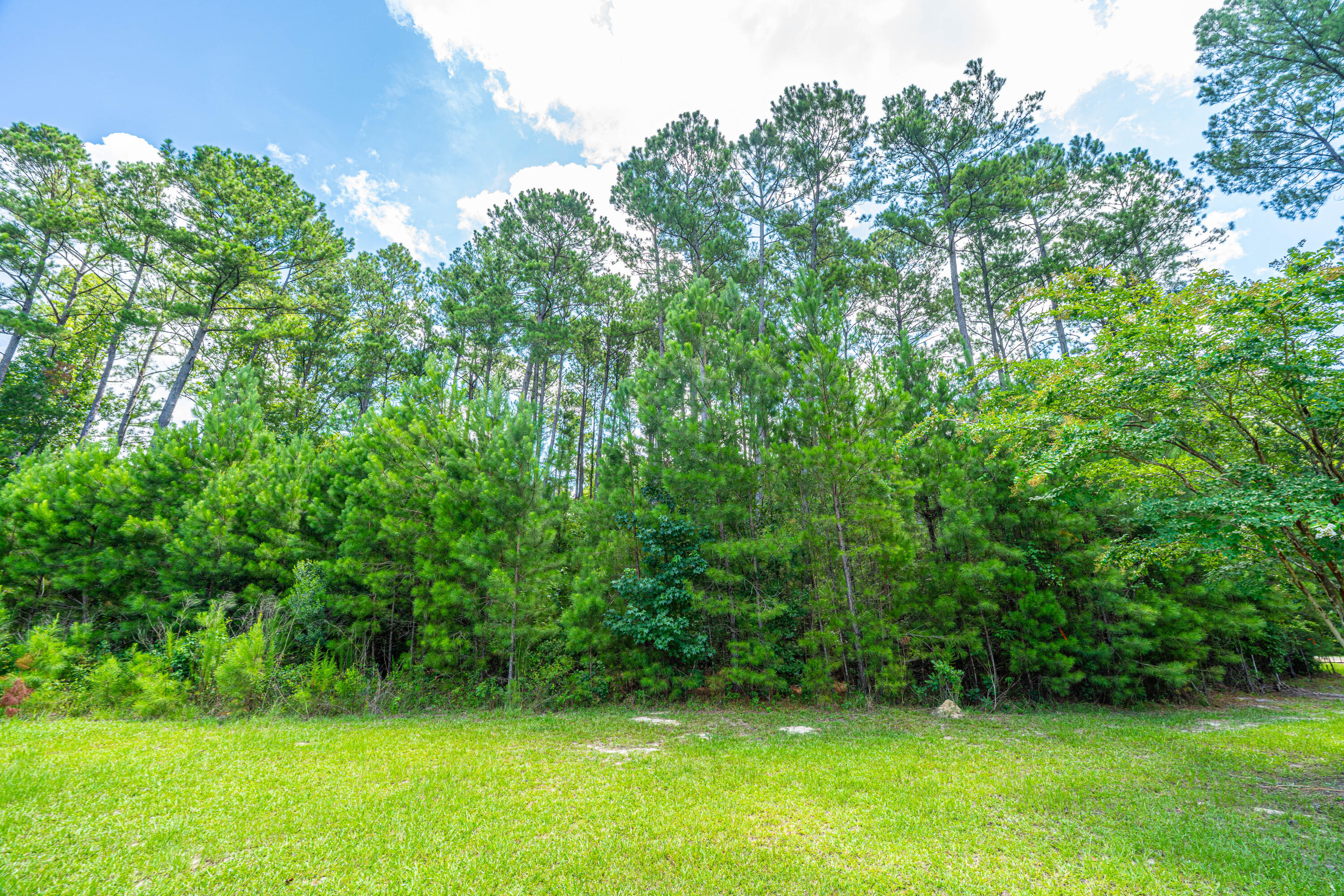 2 Southern Acres Lane Summerville, SC 29486 - Photo 10 of 39 SouthernAcresLaneLots030