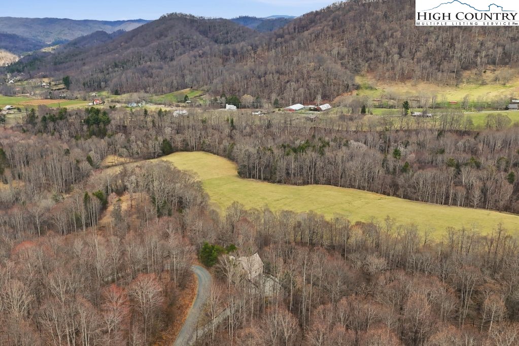 408 Eagle Ridge Road Roan Mountain, TN 37687 - Photo 36 of 45 a view of a dry yard with green space