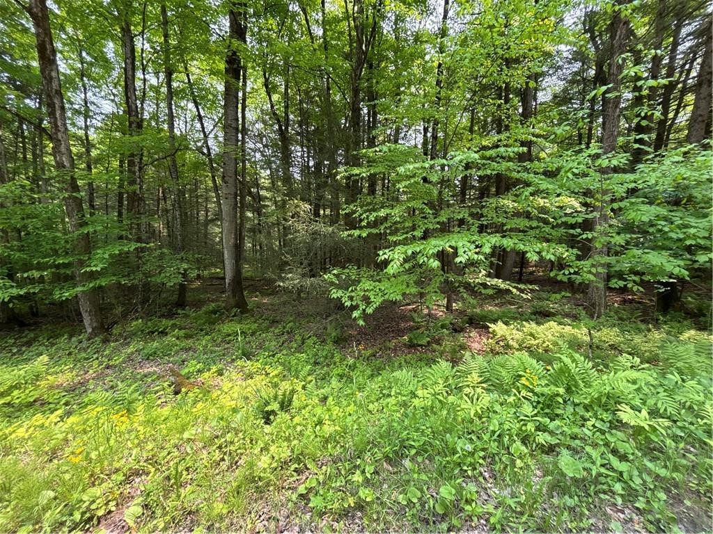 Spring Road South Dansville, NY 14437 - Photo 8 of 11