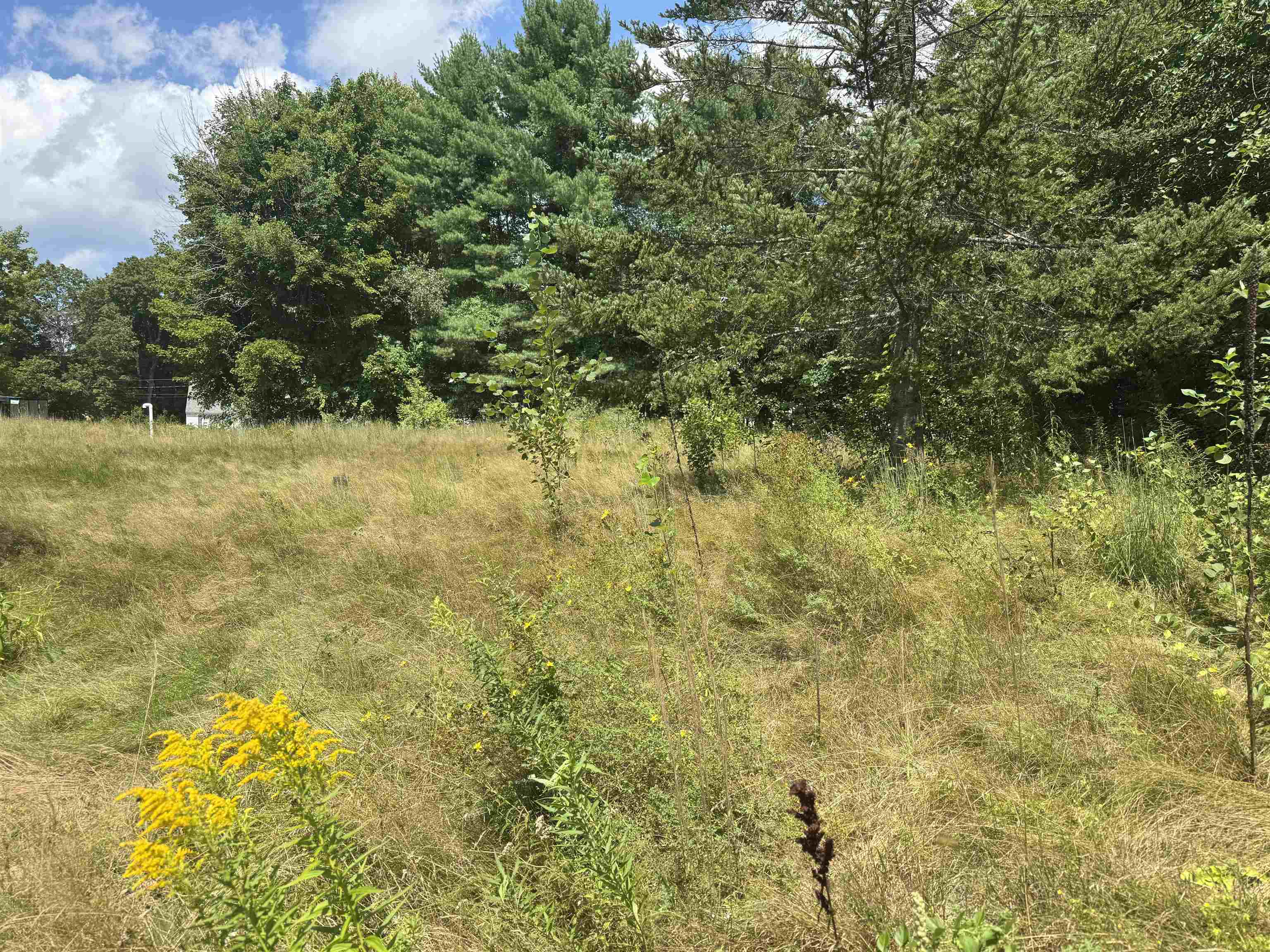 193 New Durham Road Alton, NH 03809 - Photo 6 of 30 Gallery Image 6