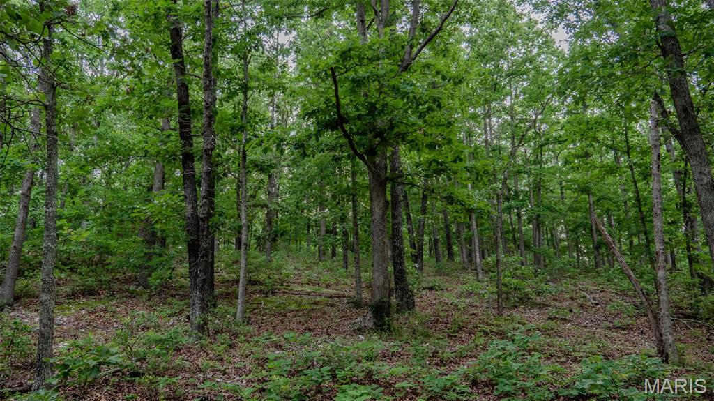 0 Hwy M Cabool, MO 65689 - Photo 53 of 68