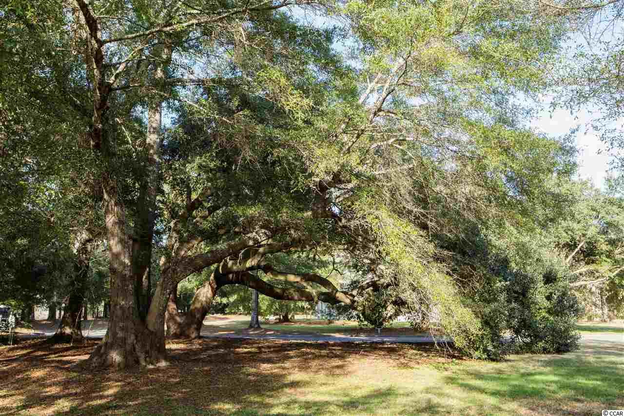 Point South Point S Portofino Court Murrells Inlet, SC 29576 - Photo 2 of 12