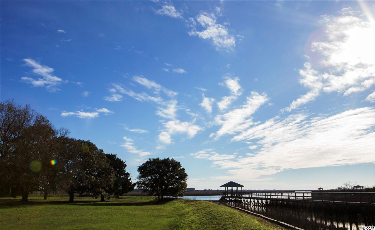 Point South Point S Portofino Court Murrells Inlet, SC 29576 - Photo 11 of 12