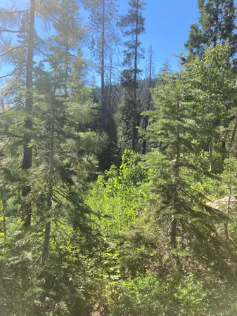 a view of lake with green space