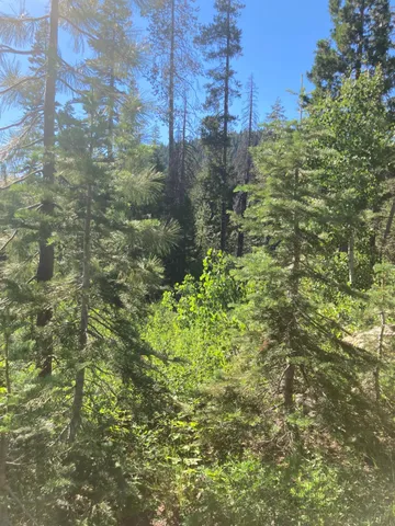 a view of lake with green space