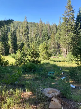 $100,000 | 180 Bucks Meadow Drive, Quincy, CA 95971