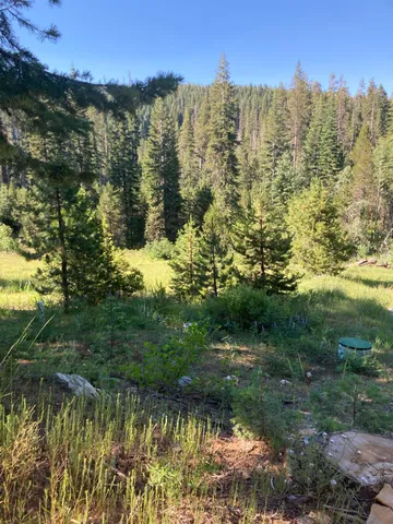 $100,000 | 180 Bucks Meadow Drive, Quincy, CA 95971