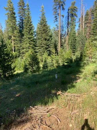 $100,000 | 180 Bucks Meadow Drive, Quincy, CA 95971