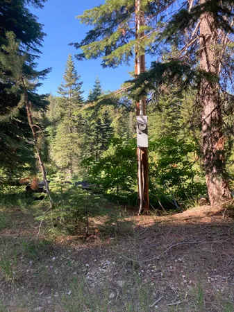 $100,000 | 180 Bucks Meadow Drive, Quincy, CA 95971