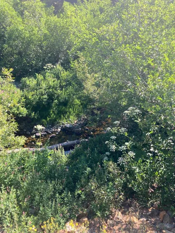 a view of outdoor space and a yard