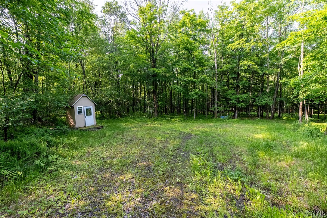 Cummings Road Pulaski, NY 13142 - Photo 11 of 14