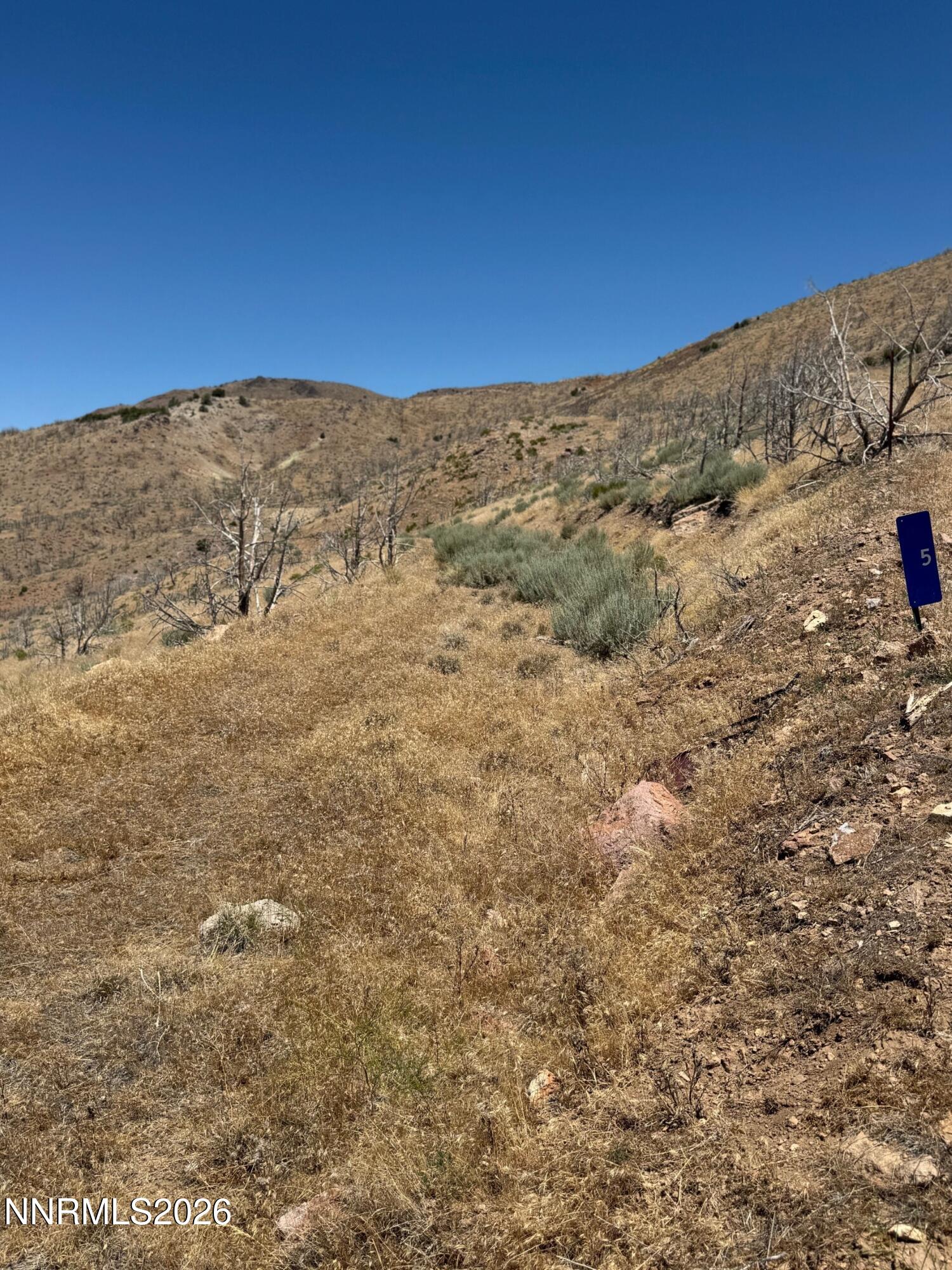 5 Wrangler Road Reno, NV 89510 - Photo 2 of 12 Entering the property