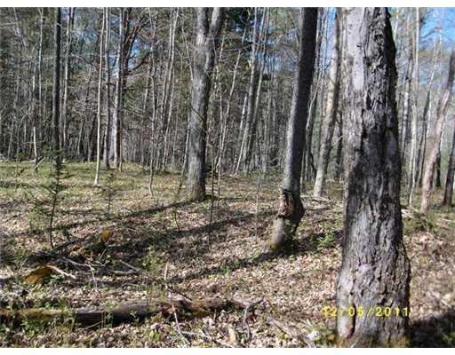 1 Swift River Road Roxbury, ME 04275 - Photo 22 of 23 Land/Lot.