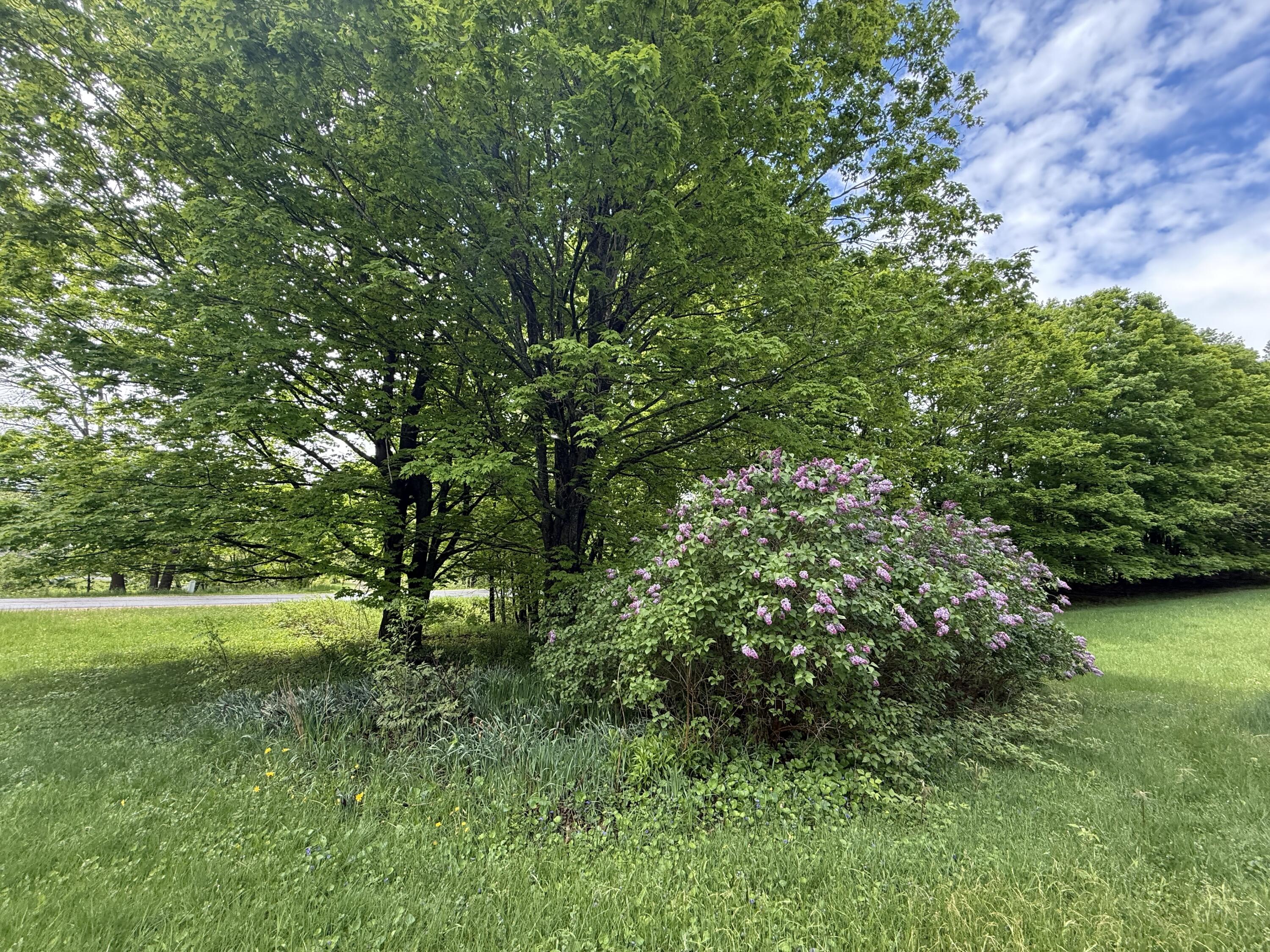 67 Nashville Road Saranac, NY 12981 - Photo 18 of 21