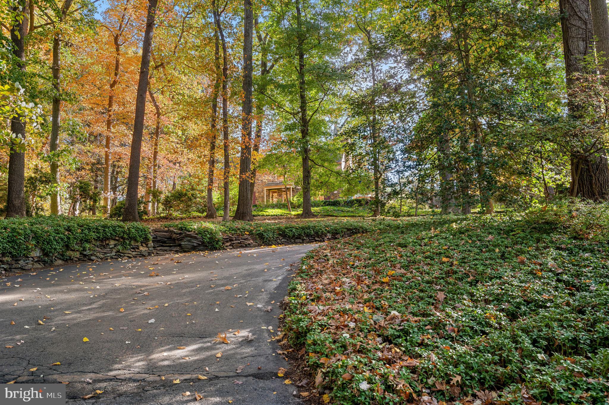 1641 Ridley Creek Road Media, PA 19063 - Photo 3 of 63 Follow the curve of the tree-lined drive