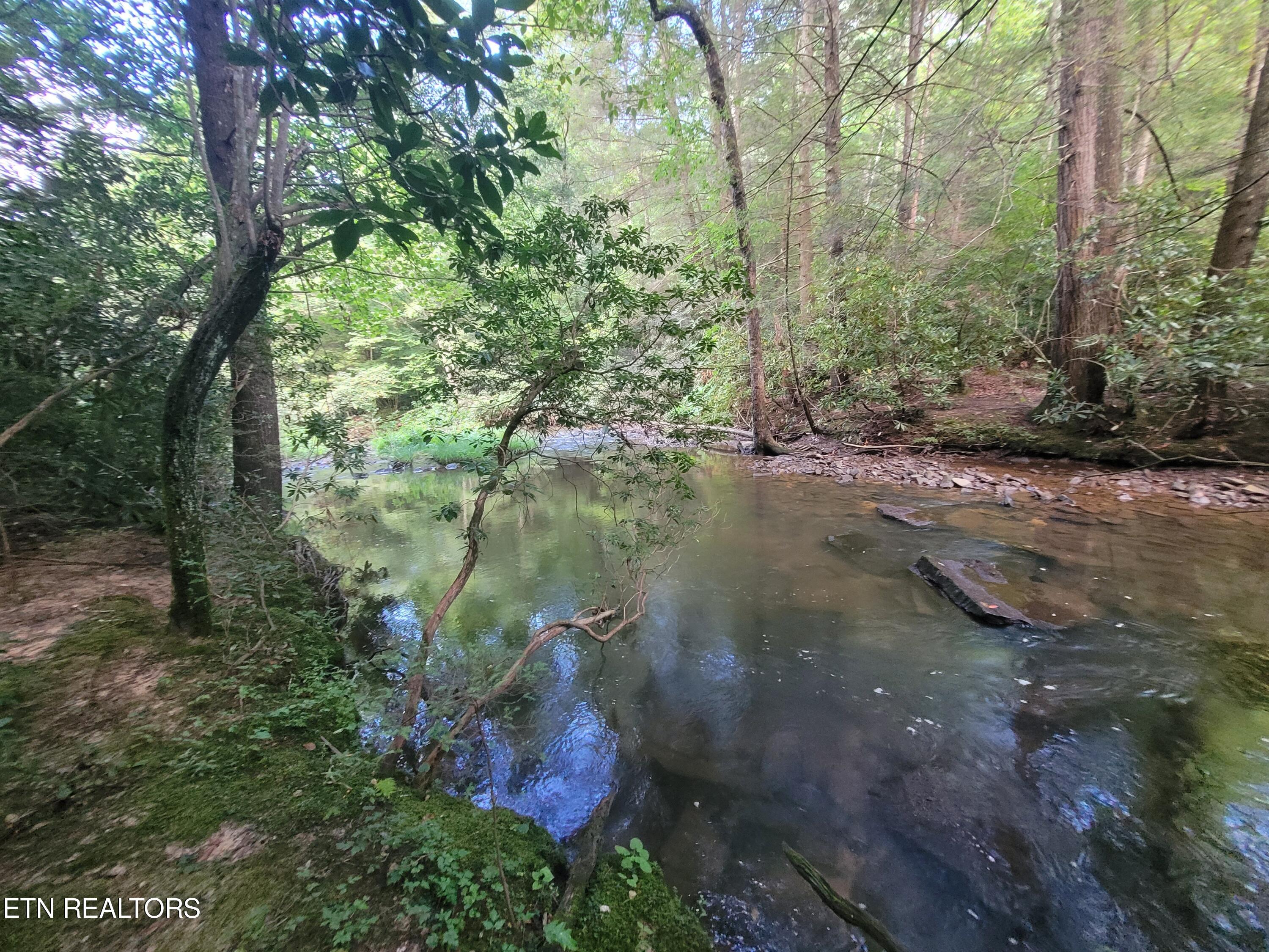 179 Laurel Cliff Road Clarkrange, TN 38553 - Photo 11 of 13 20240731_173127