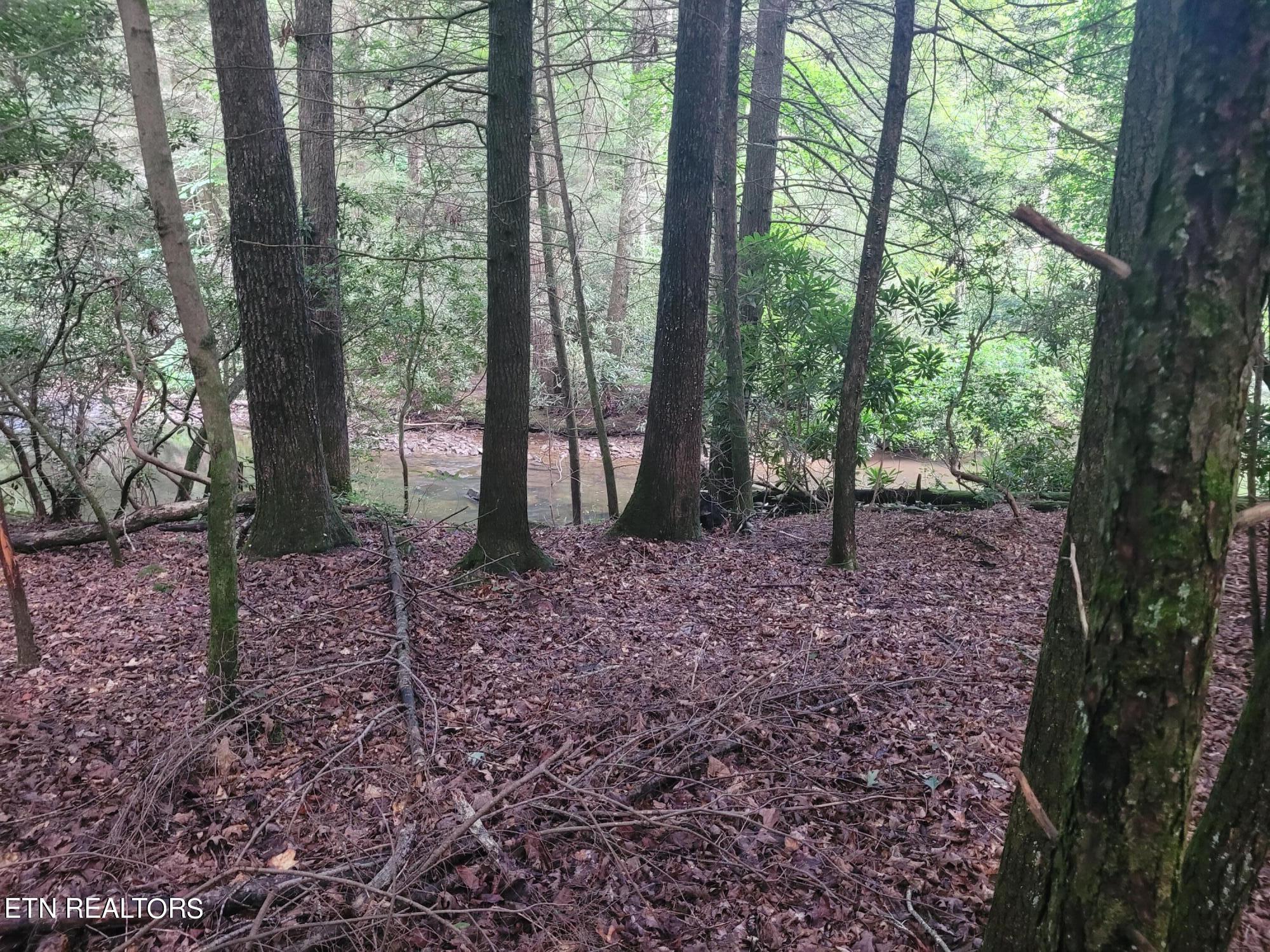 179 Laurel Cliff Road Clarkrange, TN 38553 - Photo 13 of 13 20240731_173536