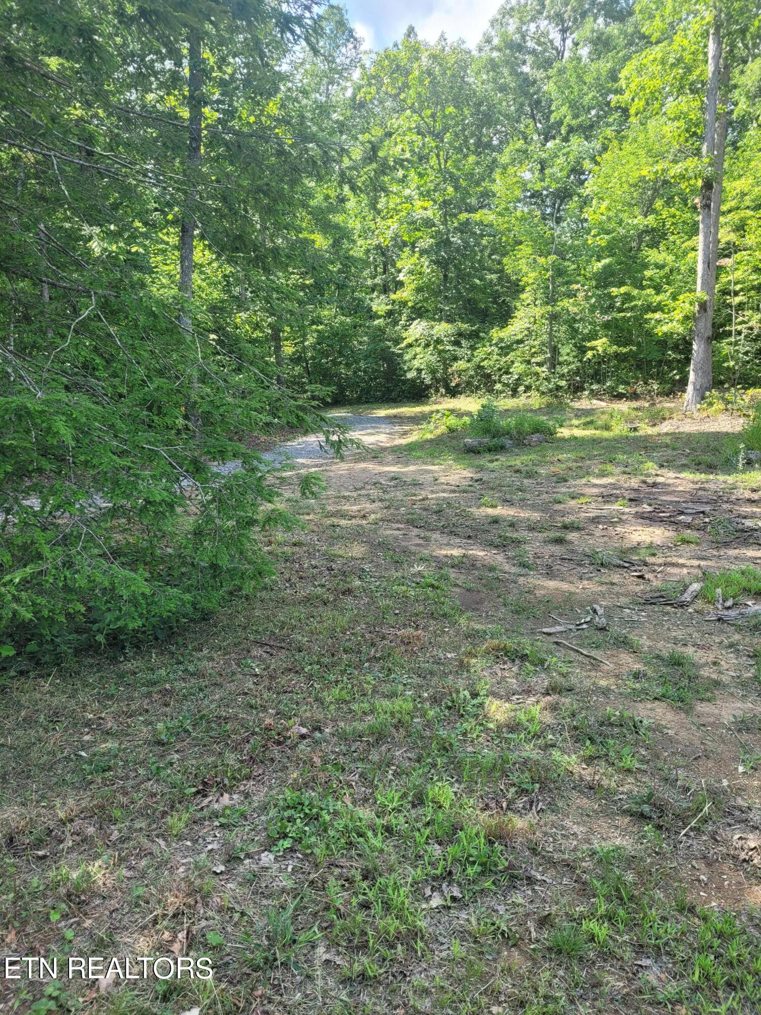 179 Laurel Cliff Road Clarkrange, TN 38553 - Photo 4 of 13 20240731_154759