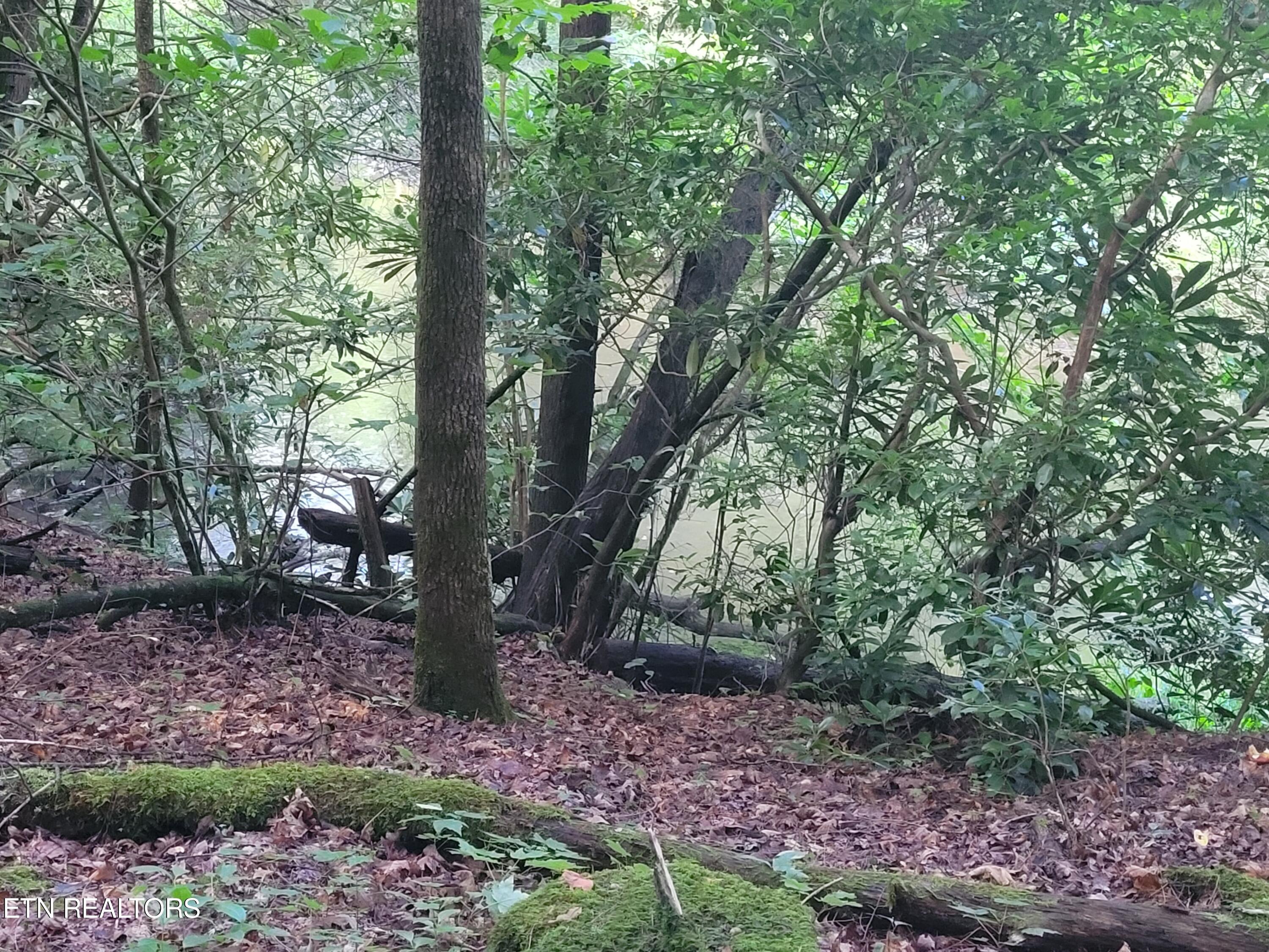 179 Laurel Cliff Road Clarkrange, TN 38553 - Photo 10 of 13 20240731_173014