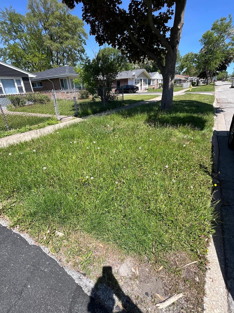 16442 Honore Avenue Markham, IL 60428 - Photo 14 of 16 a front view of a house with garden