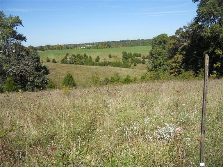 1 Fairmont Road Lawrenceburg, KY 40342 - Photo 6 of 11 Photo 6