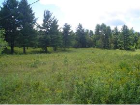 9 Maiden Lane Ripton, VT 05766 - Photo 4 of 4