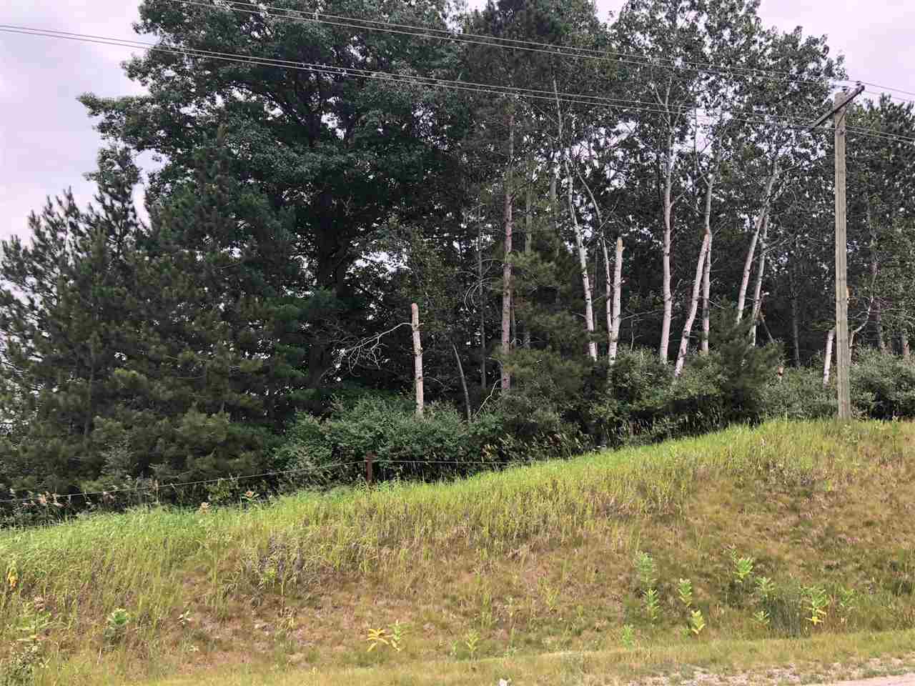 A-b South Rolland Road Weidman, MI 48893 - Photo 3 of 5