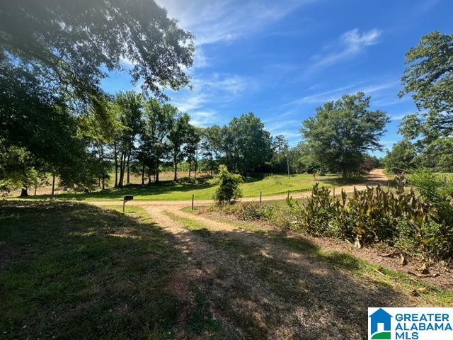 156 County Road 289 Wedowee, AL 36278 - Photo 37 of 53
