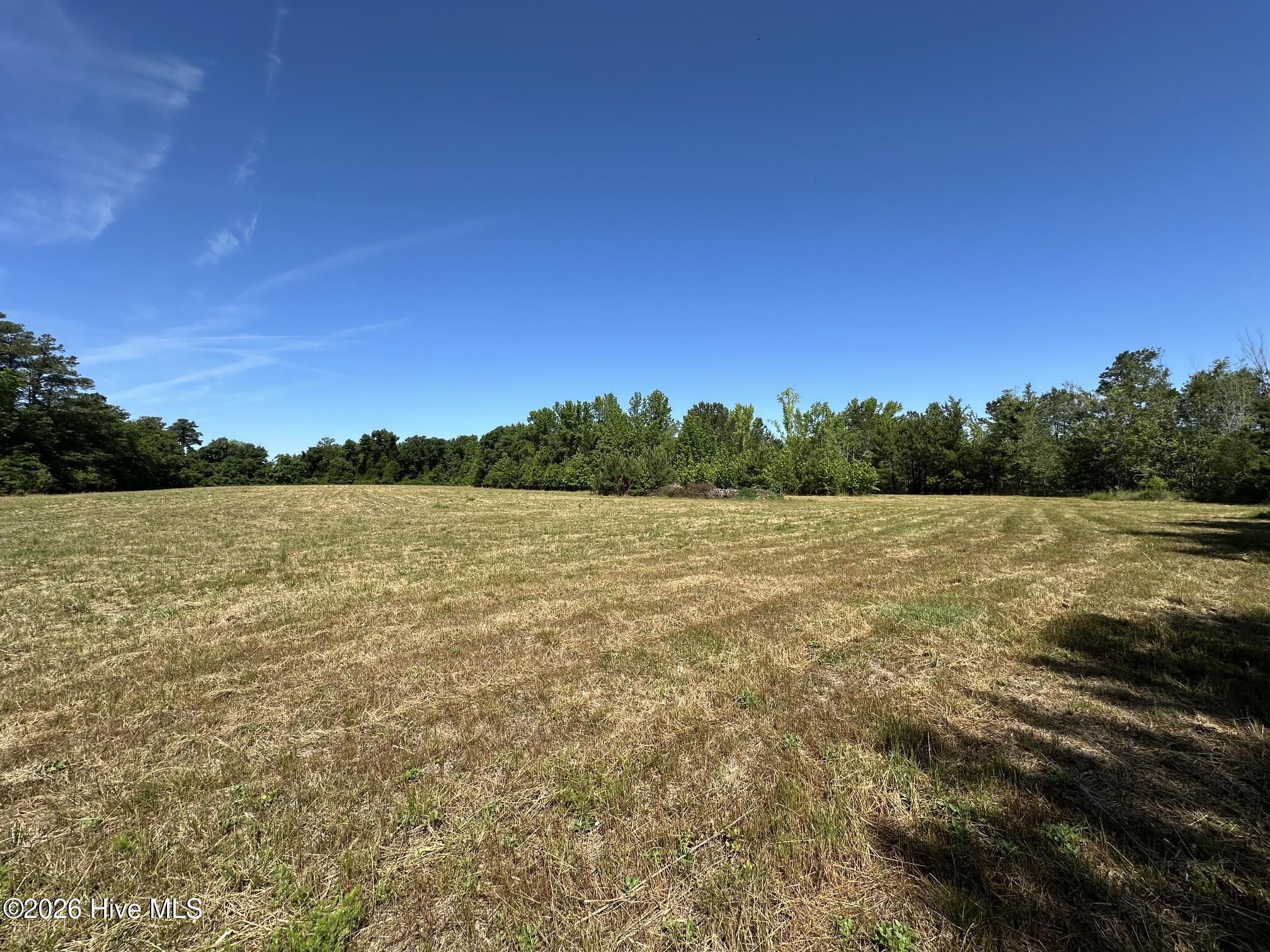 17060 St Johns Church Road Laurel Hill, NC 28351 - Photo 33 of 62 IMG_2256