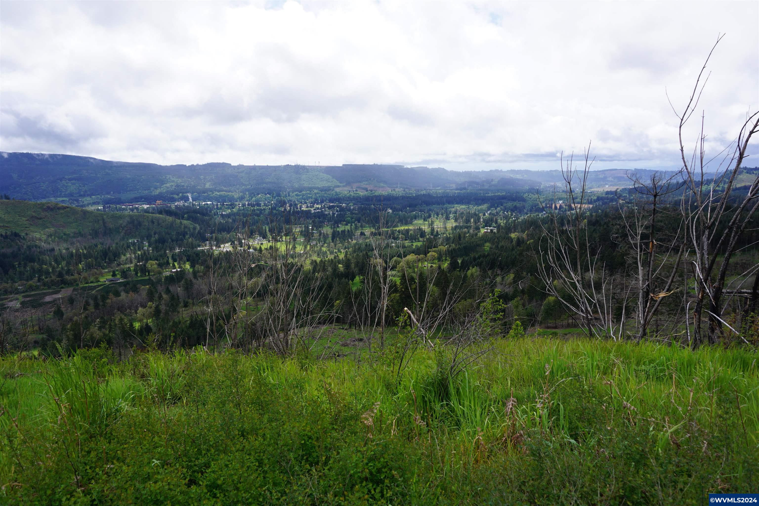 900 Wagner Road Lyons, OR 97358 - Photo 30 of 30