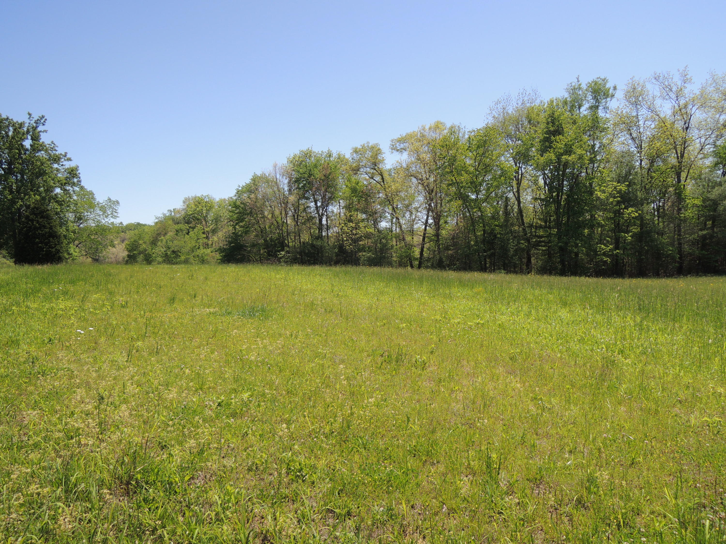 Burrville Road Road Sunbright, TN 37872 - Photo 1 of 4 Tinch 2
