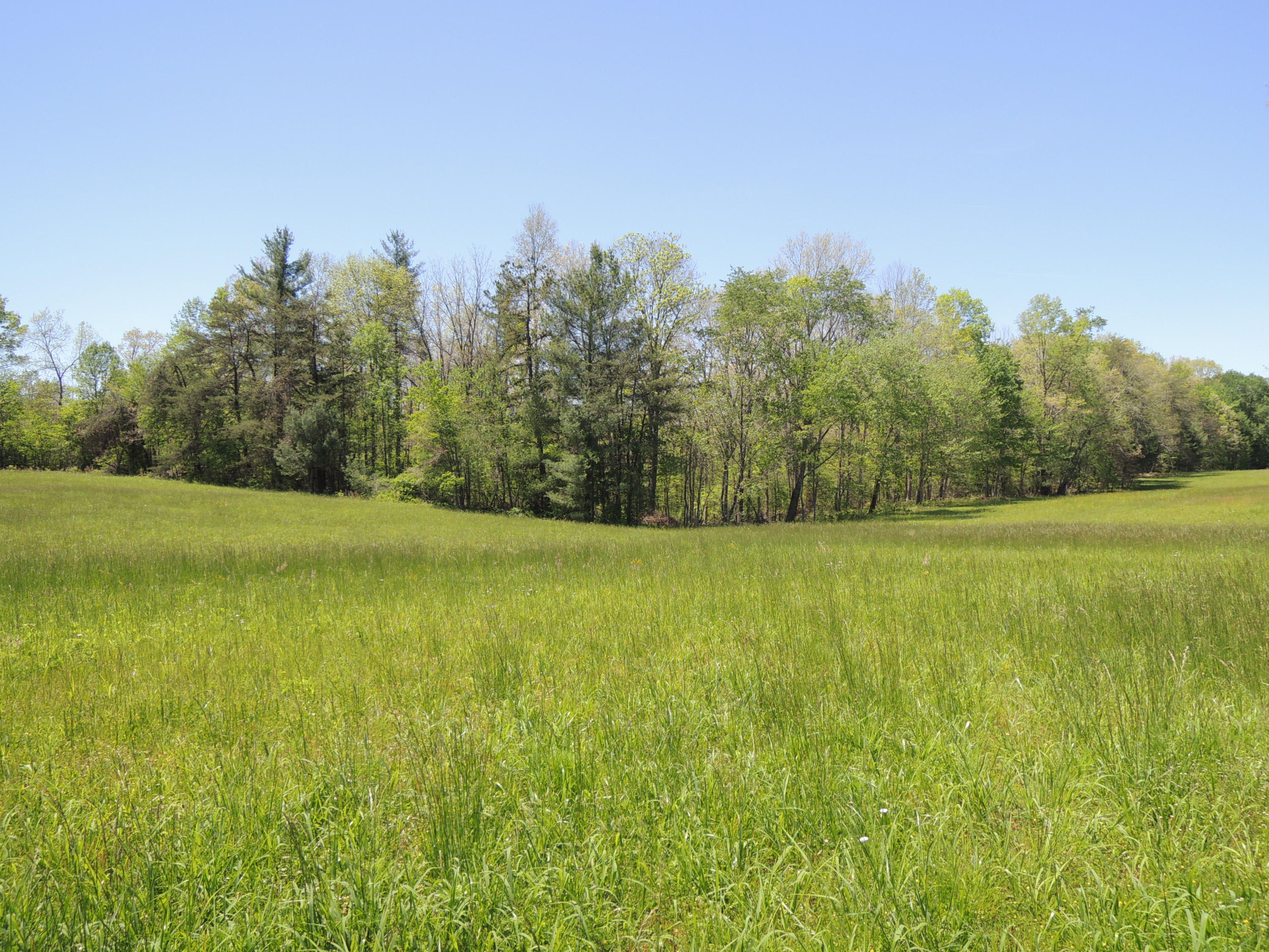 Burrville Road Road Sunbright, TN 37872 - Photo 2 of 4 Tinch