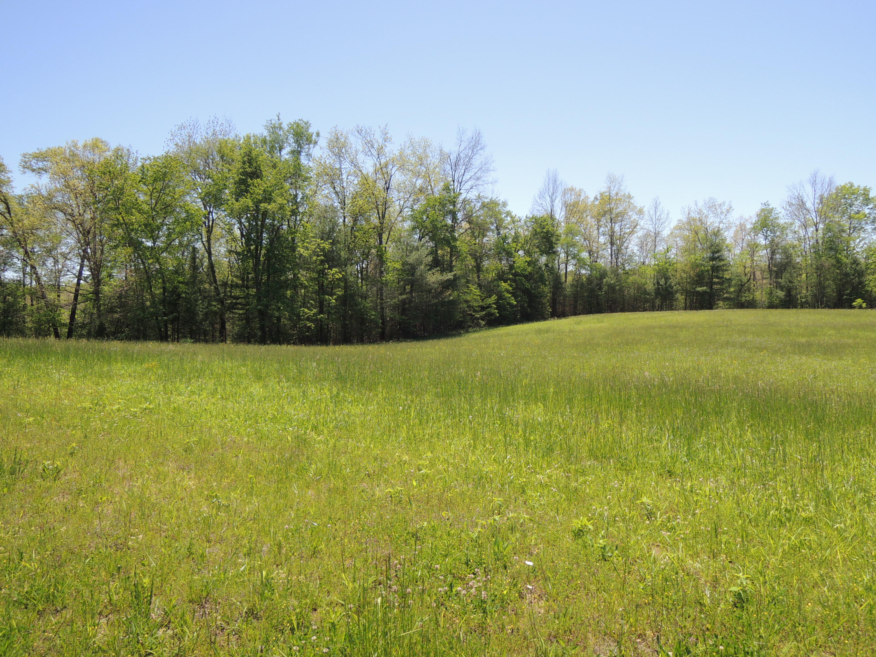 Burrville Road Road Sunbright, TN 37872 - Photo 3 of 4 Tinch3