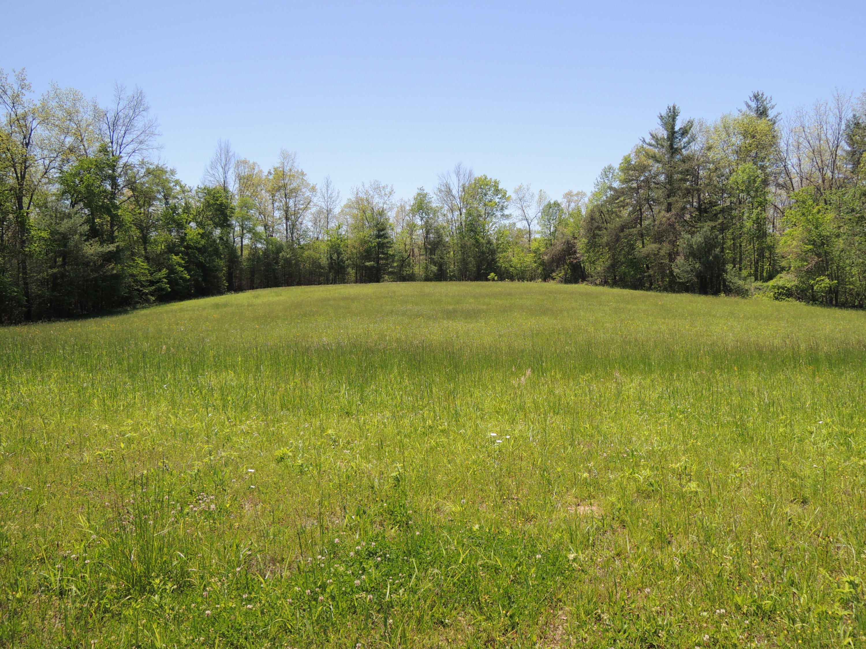 Burrville Road Road Sunbright, TN 37872 - Photo 4 of 4 Tinch4