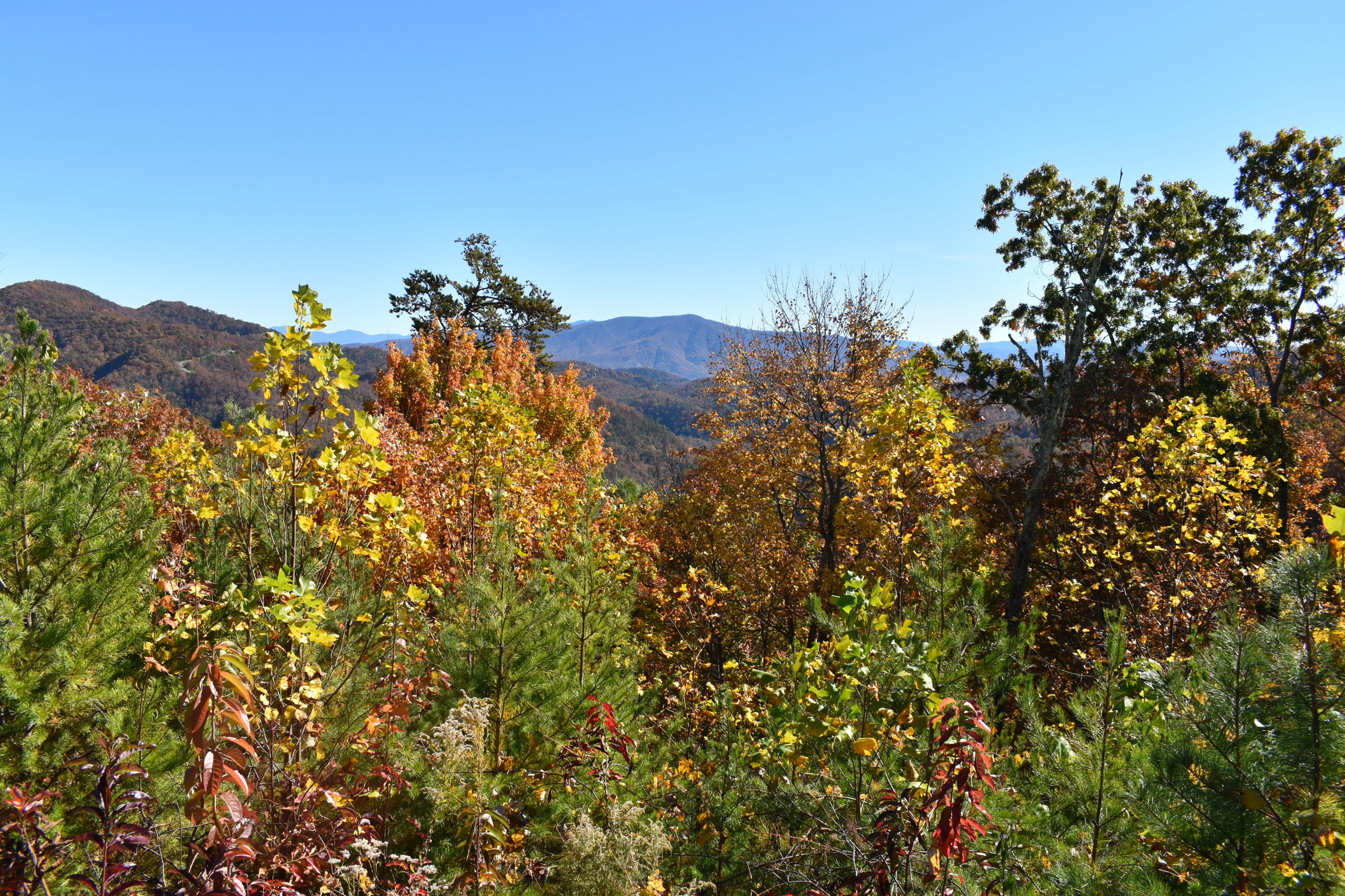 Lot 41 West 4968 Long Rifle Road Walland, TN 37886 - Photo 1 of 13 Actual View