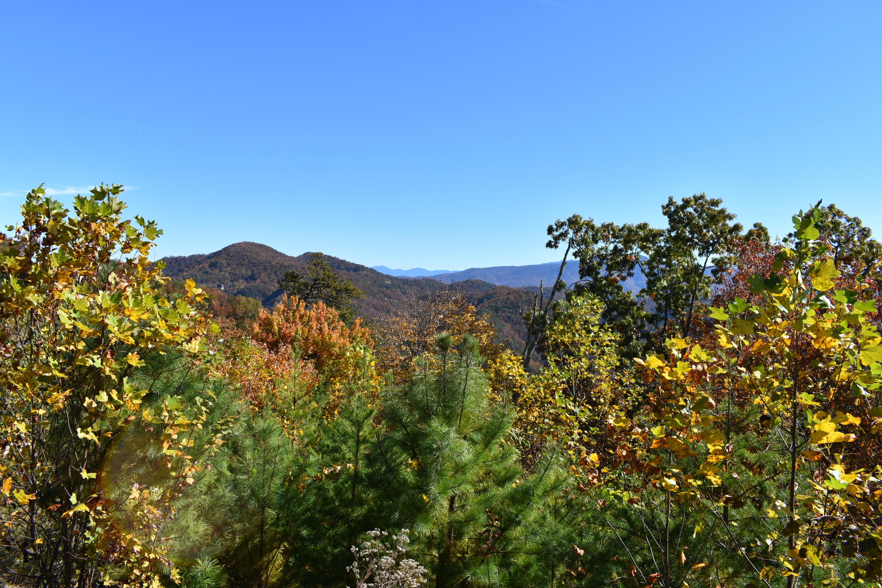 Lot 41 West 4968 Long Rifle Road Walland, TN 37886 - Photo 2 of 13 DMC_0553